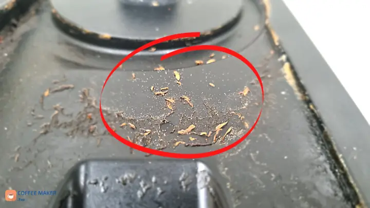 Worms in coffee makers