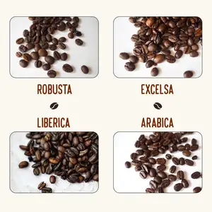 Do You Know All The Different Types Of Coffee Beans