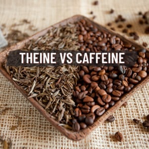 Theine vs Caffeine
