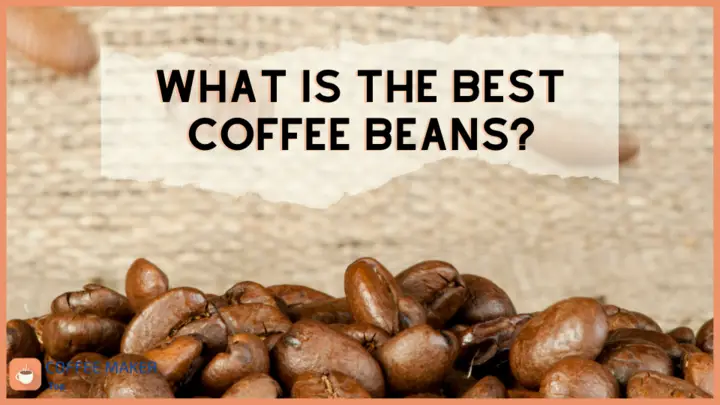 What is the best coffee bean
