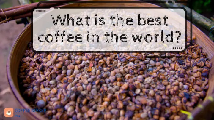 What is the best coffee in the world?